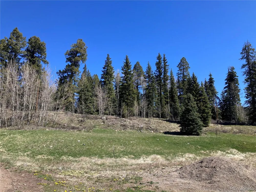 222 Lost Valley Drive Creede, CO 81130