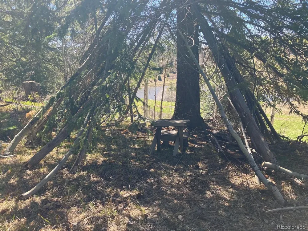 222 Lost Valley Drive Creede, CO 81130