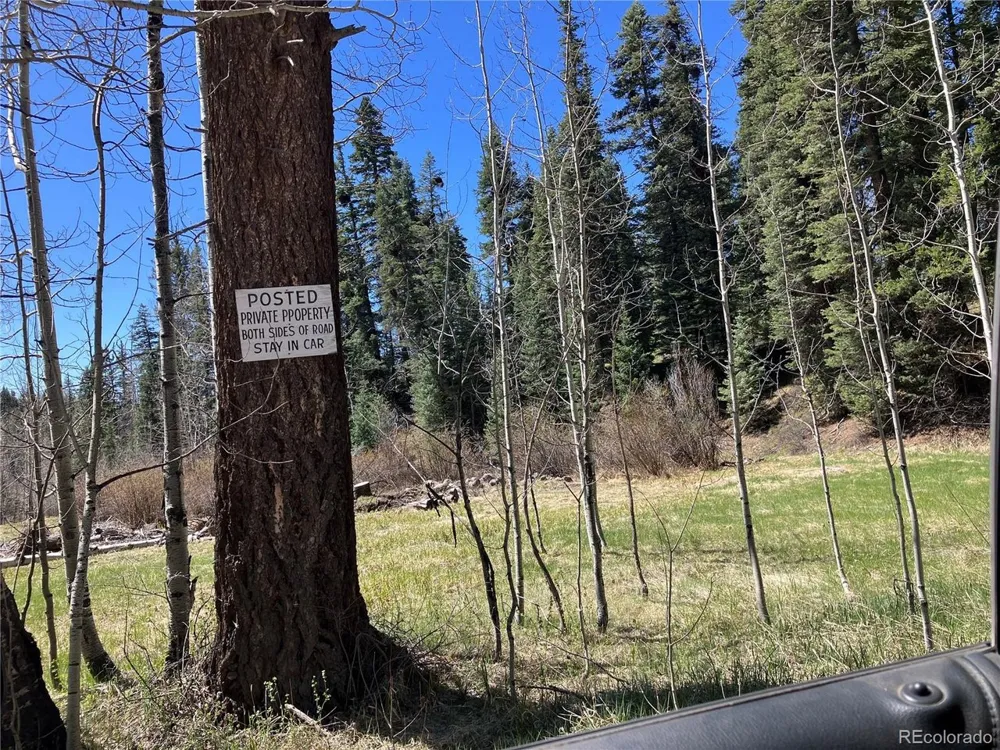 222 Lost Valley Drive Creede, CO 81130