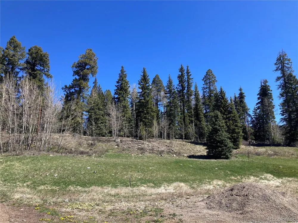 222 Lost Valley Drive Creede, CO 81130