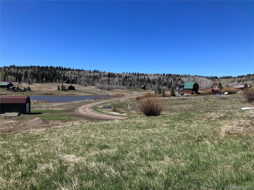 222 Lost Valley Drive Creede, CO 81130