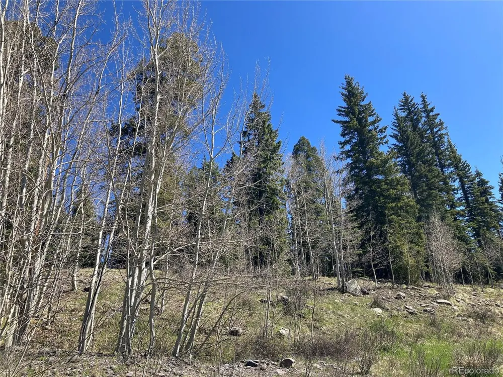 222 Lost Valley Drive Creede, CO 81130