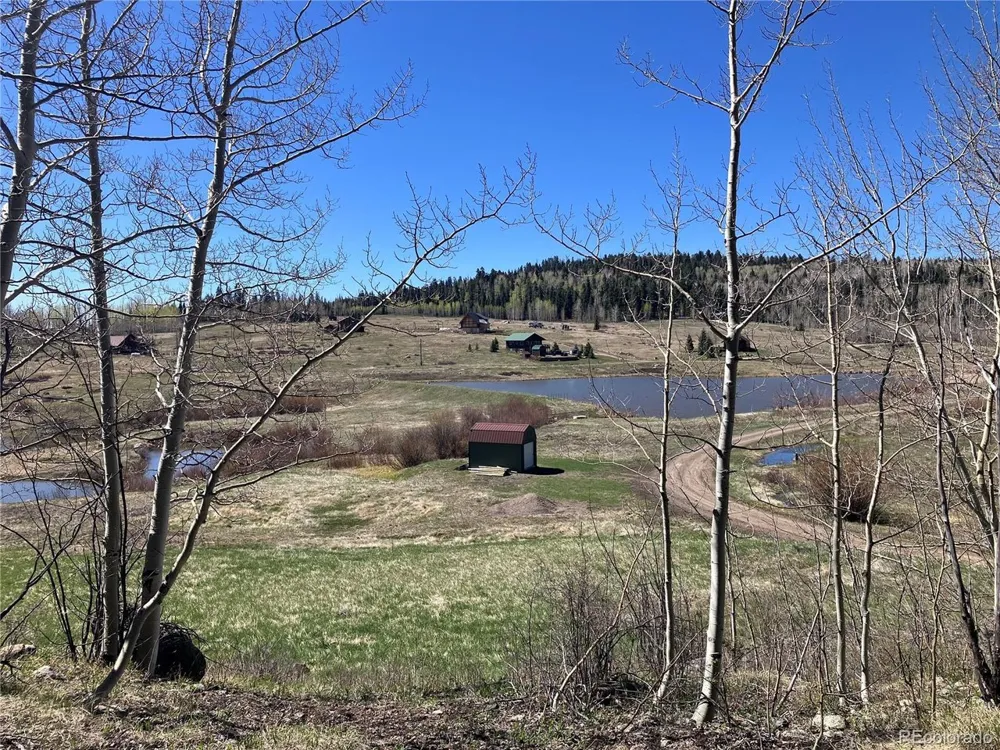 222 Lost Valley Drive Creede, CO 81130