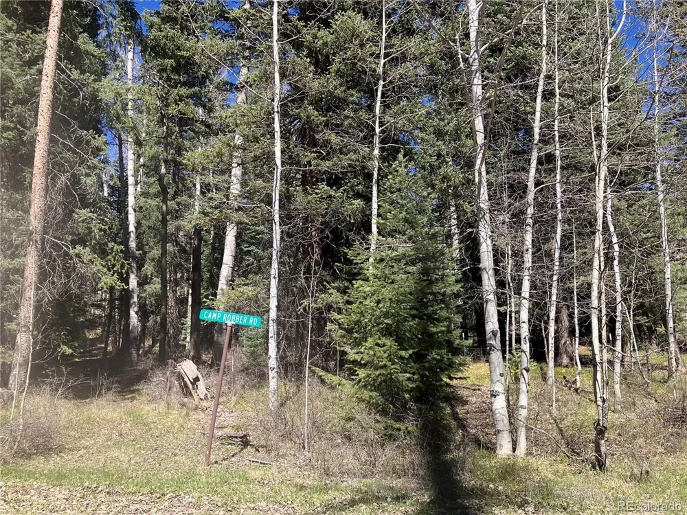 222 Lost Valley Drive Creede, CO 81130
