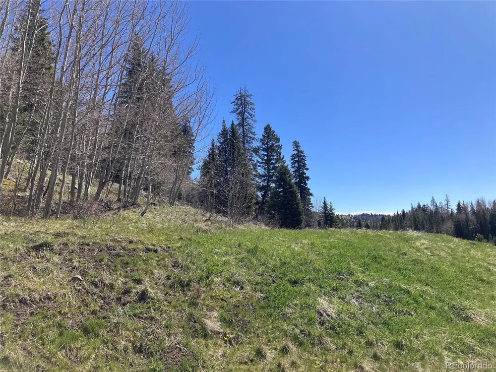 222 Lost Valley Drive Creede, CO 81130