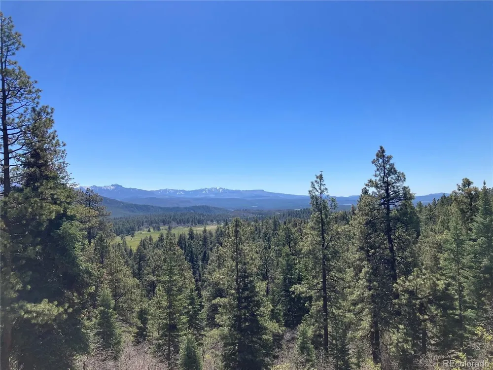 222 Lost Valley Drive Creede, CO 81130