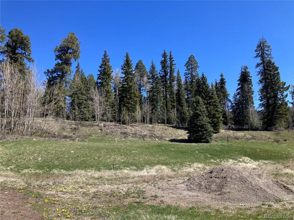 222 Lost Valley Drive Creede, CO 81130