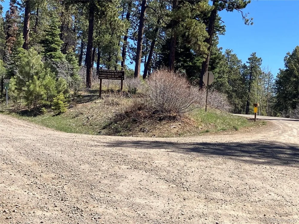 222 Lost Valley Drive Creede, CO 81130