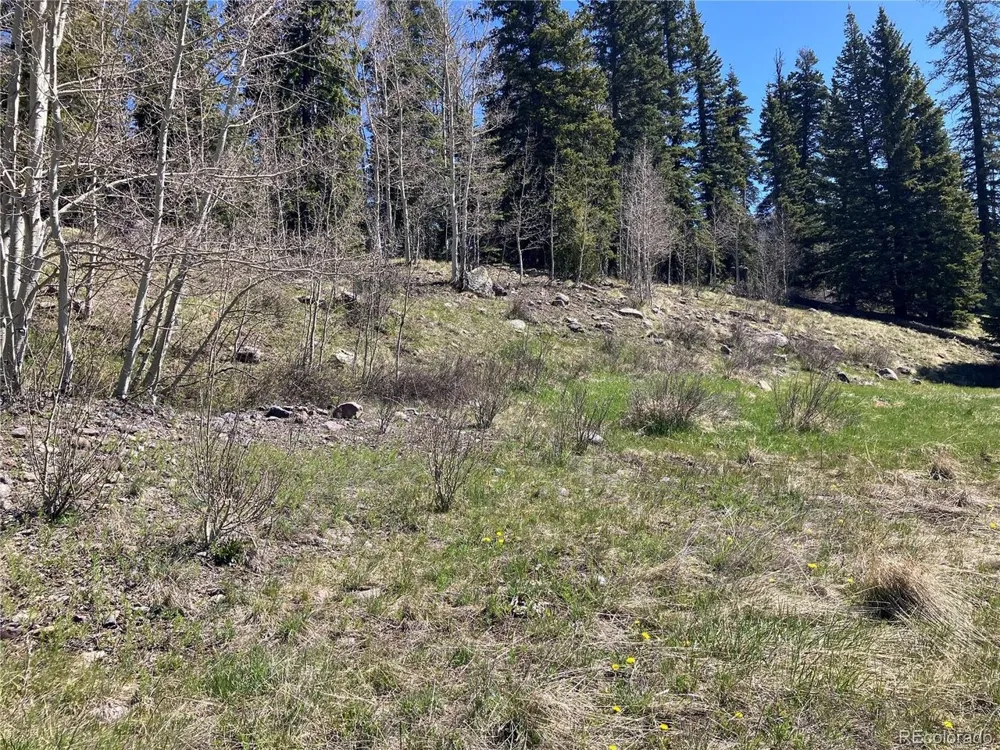 222 Lost Valley Drive Creede, CO 81130