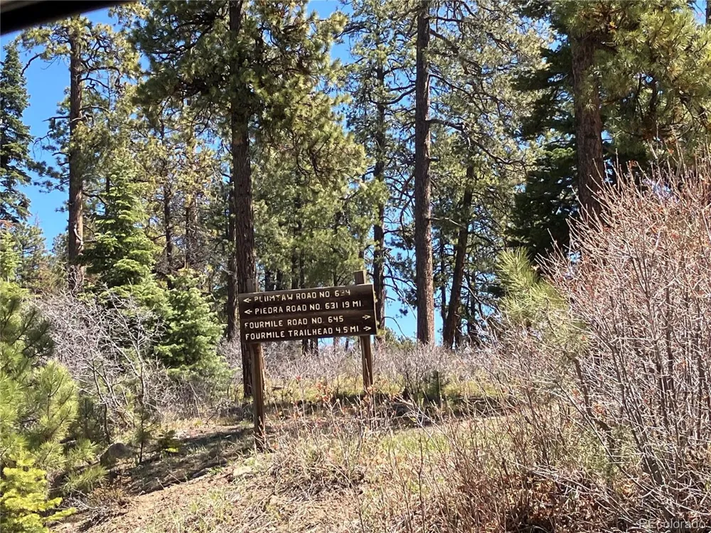 222 Lost Valley Drive Creede, CO 81130