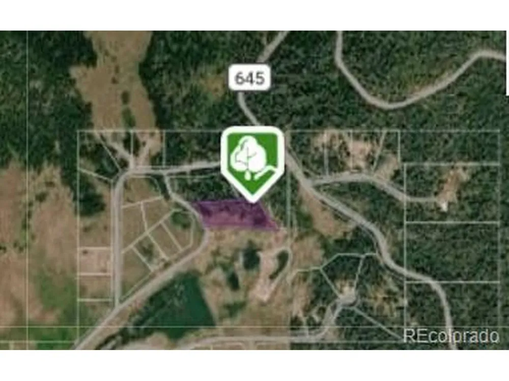 222 Lost Valley Drive Creede, CO 81130
