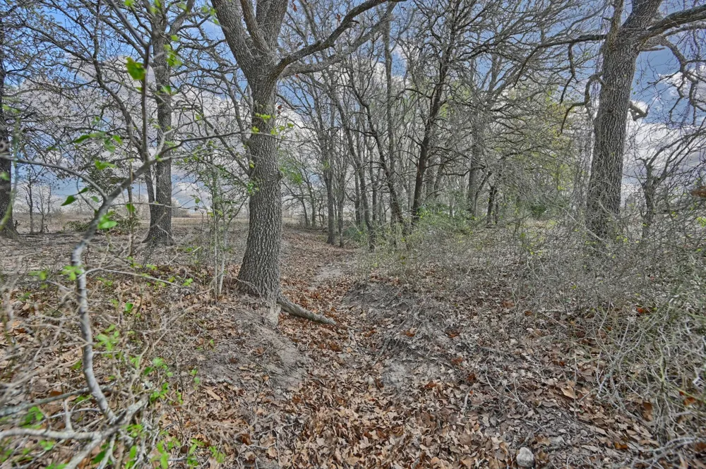 FM 2440 Giddings, TX 78942
