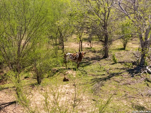 1283 S LOOP 1604 W San Antonio, TX 78264