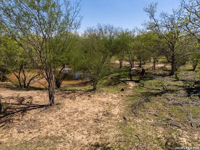 1283 S LOOP 1604 W San Antonio, TX 78264