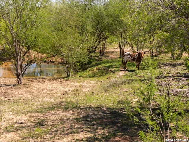 1283 S LOOP 1604 W San Antonio, TX 78264
