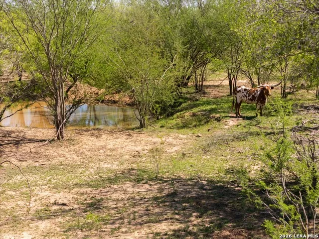 1283 S LOOP 1604 W San Antonio, TX 78264