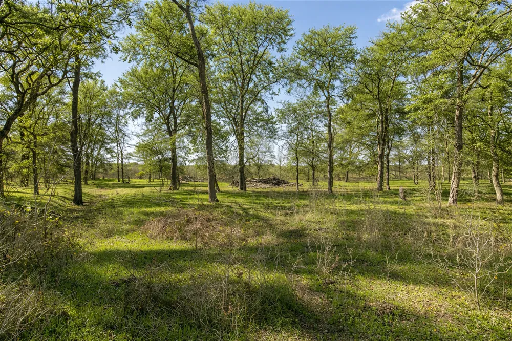 14985 Fm 86 Dale, TX 78616