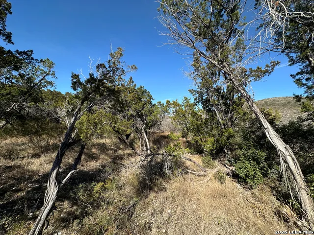 17130 Texas Highway 127 Sabinal, TX 78881