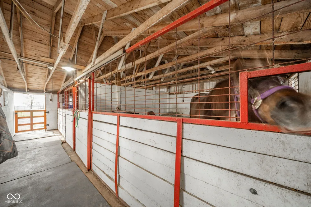11910 S County Road 800 W Daleville, IN 47334