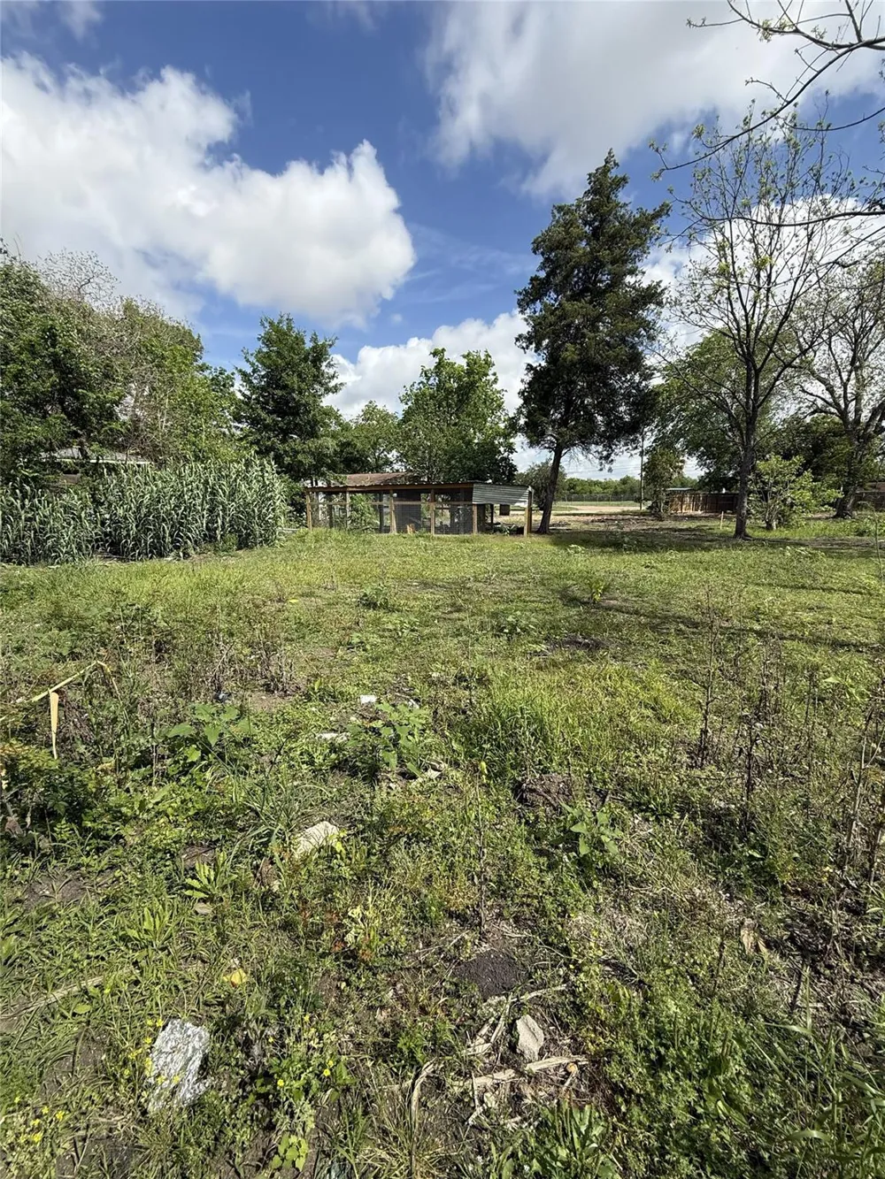 1616 Red Bluff Court Pasadena, TX 77506