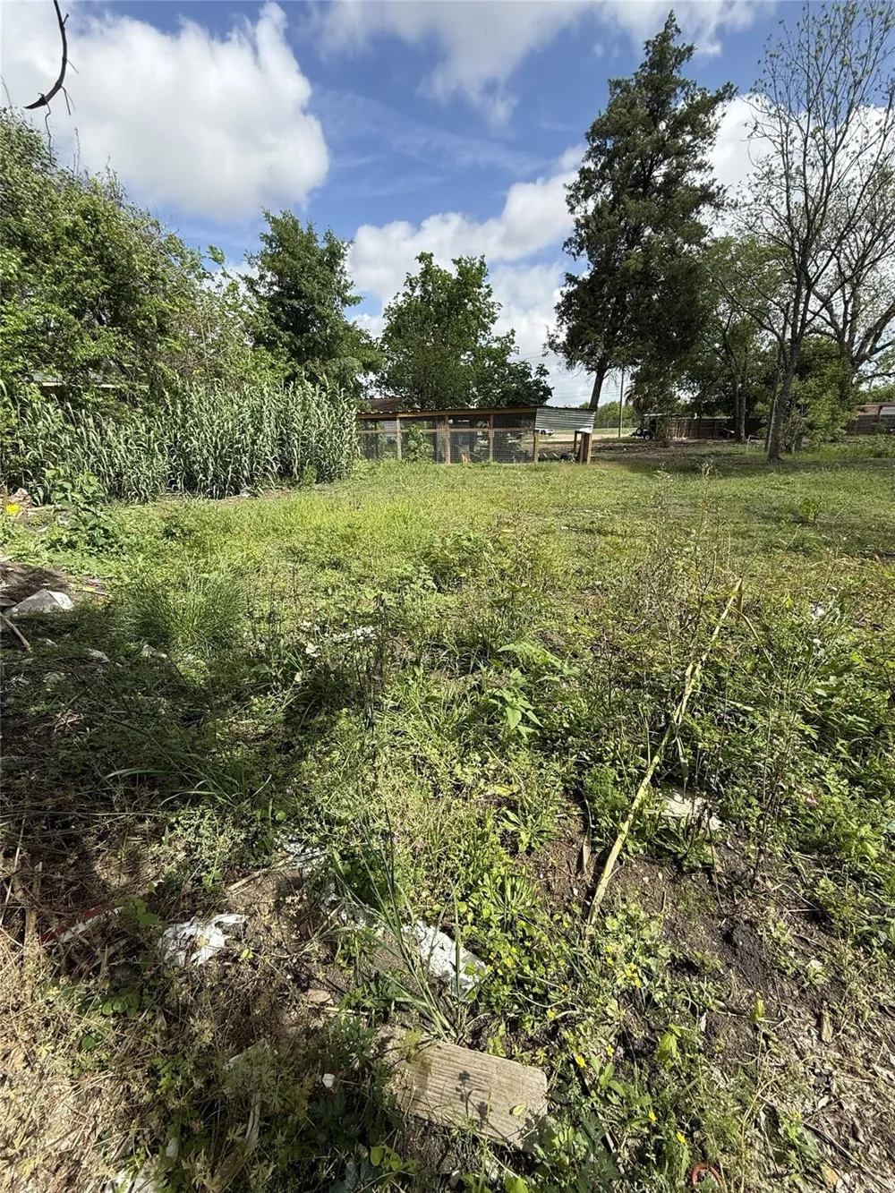 1616 Red Bluff Court Pasadena, TX 77506