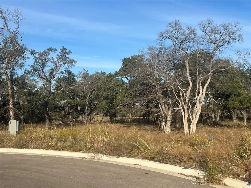 148 W Rio Ranch Road Liberty Hill, TX 78642