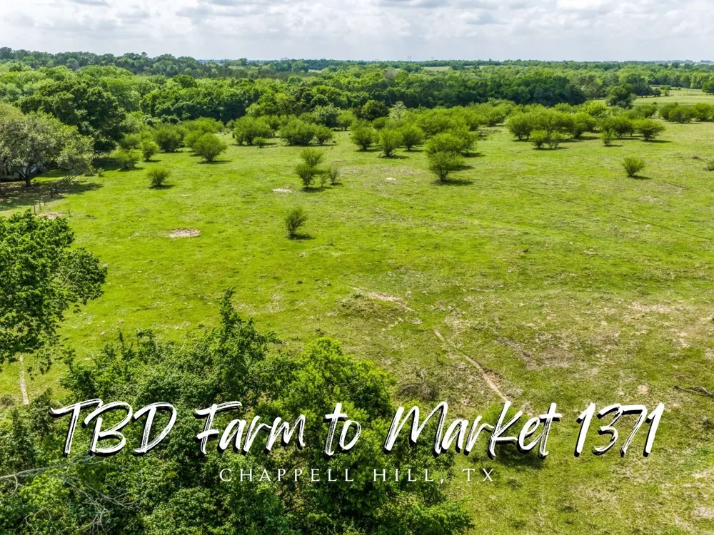Farm To Market 1371 Chappell Hill, TX 77426