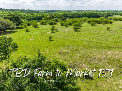 Farm To Market 1371
