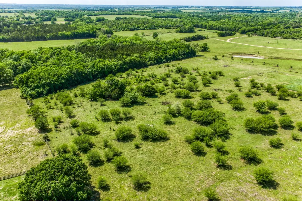 Farm To Market 1371 Chappell Hill, TX 77426