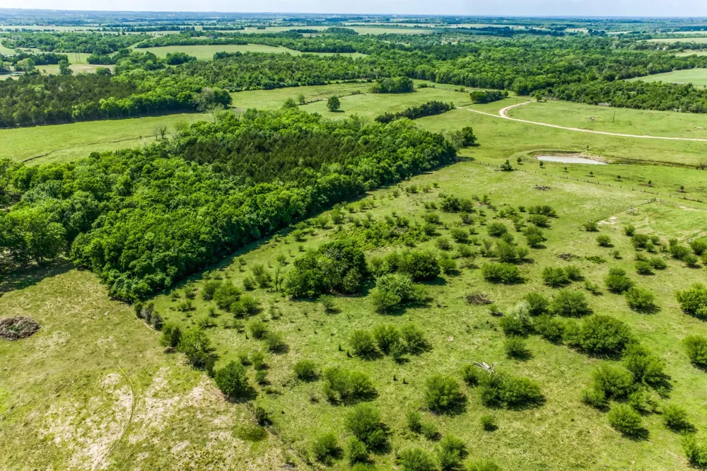 Farm To Market 1371 Chappell Hill, TX 77426