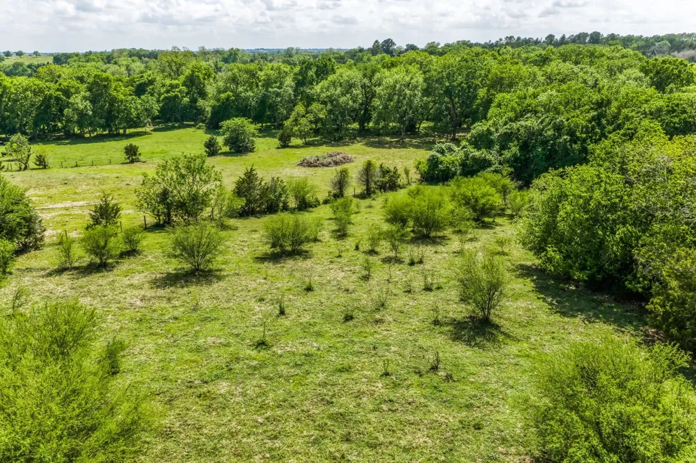 Farm To Market 1371 Chappell Hill, TX 77426