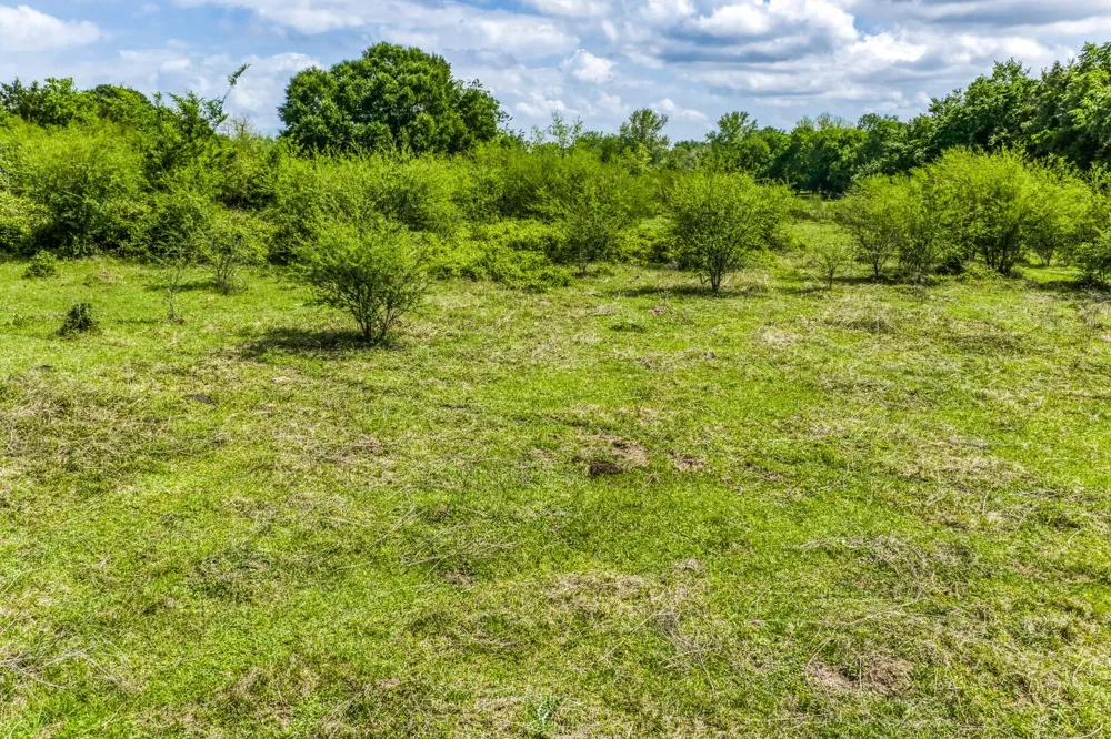 Farm To Market 1371 Chappell Hill, TX 77426