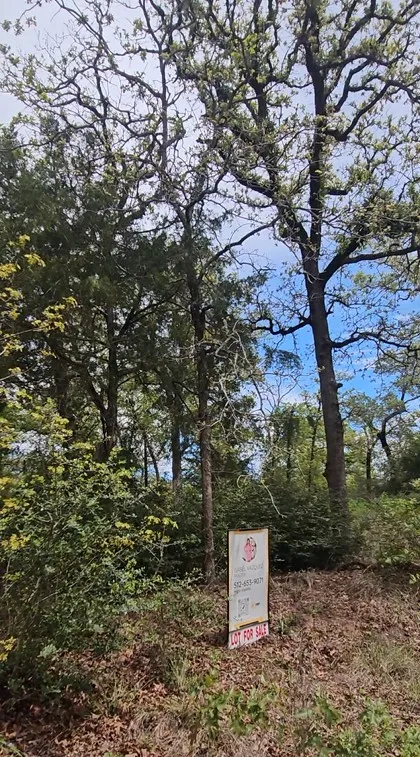 Co Rd 308 Road