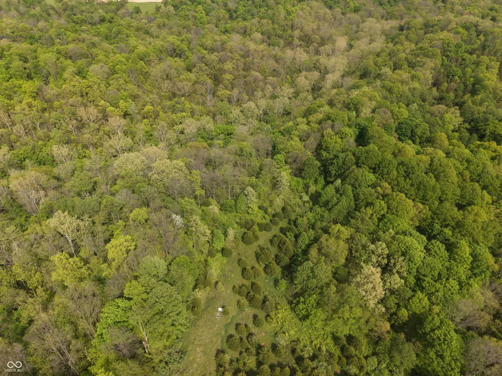 10992 Barbersville Road Canaan, IN 47224
