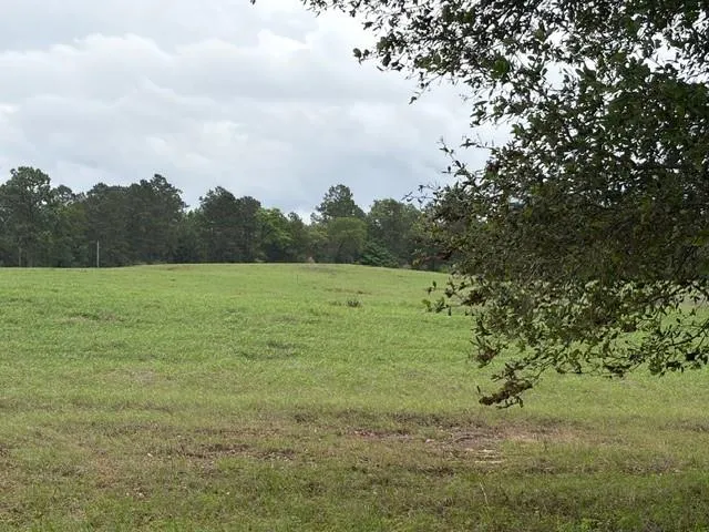 251 Lakeland Ranch Hillister, TX 77624