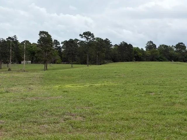 251 Lakeland Ranch Hillister, TX 77624
