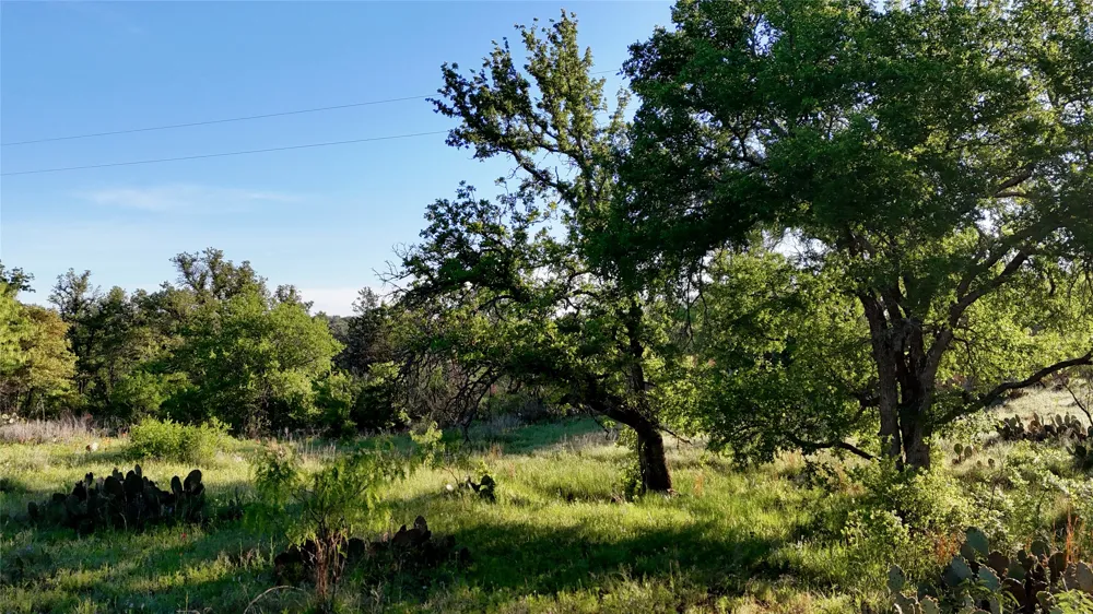 Madden Ranch Road Llano, TX 78643