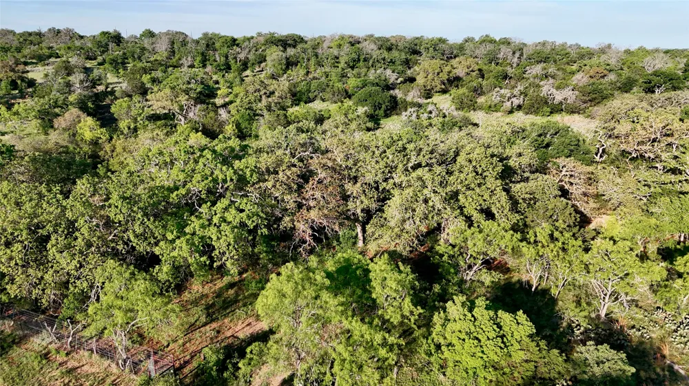 Madden Ranch Road Llano, TX 78643