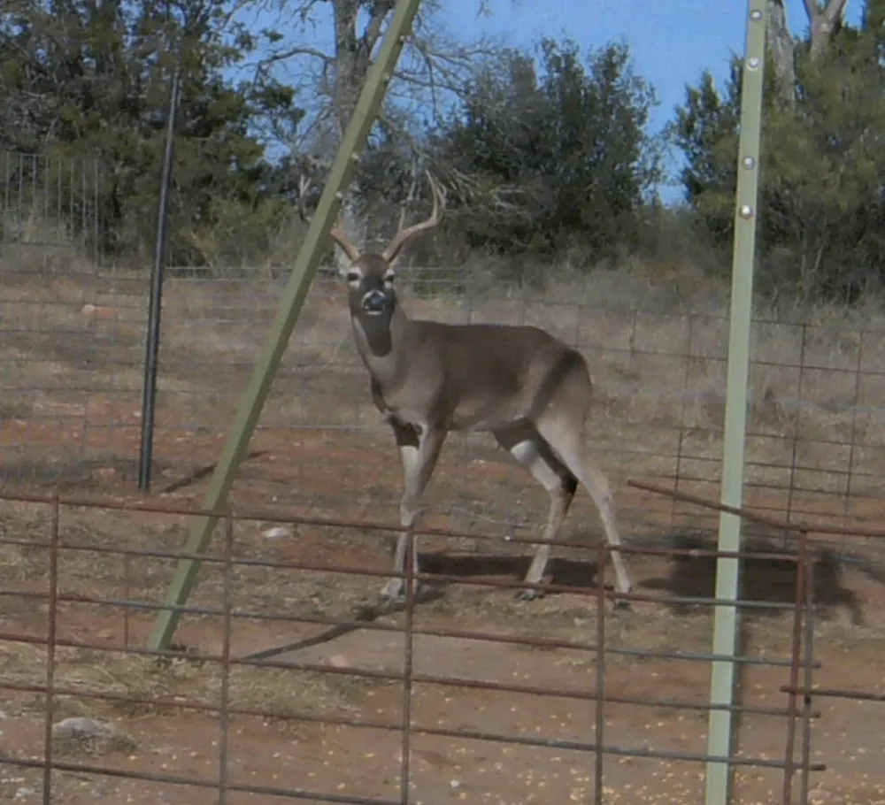 Madden Ranch Road Llano, TX 78643