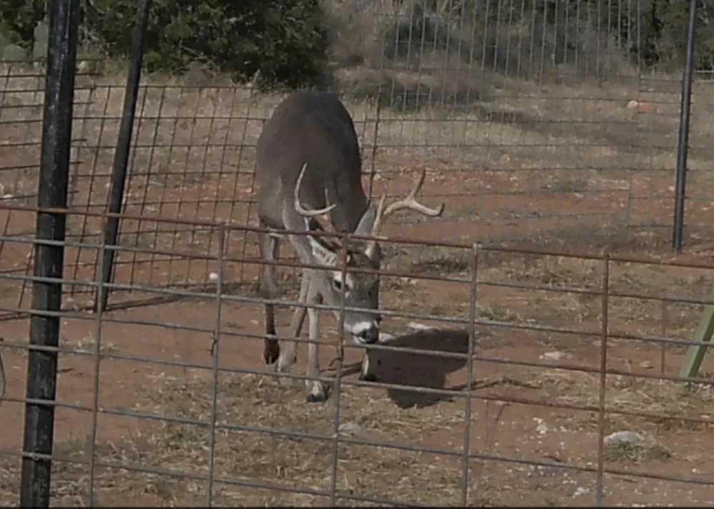 Madden Ranch Road Llano, TX 78643