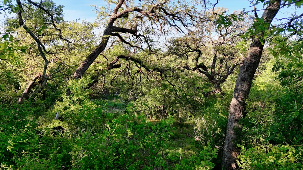Madden Ranch Road Llano, TX 78643