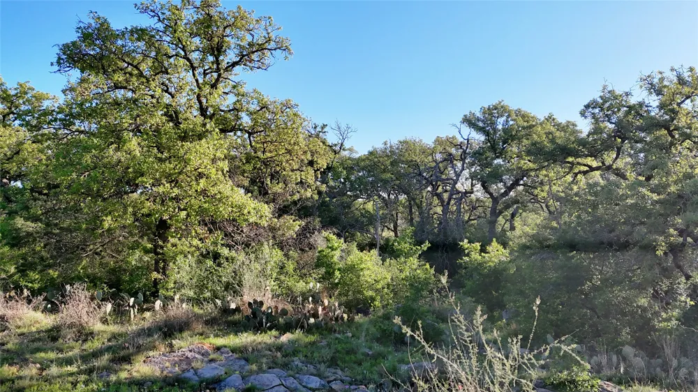 Madden Ranch Road Llano, TX 78643