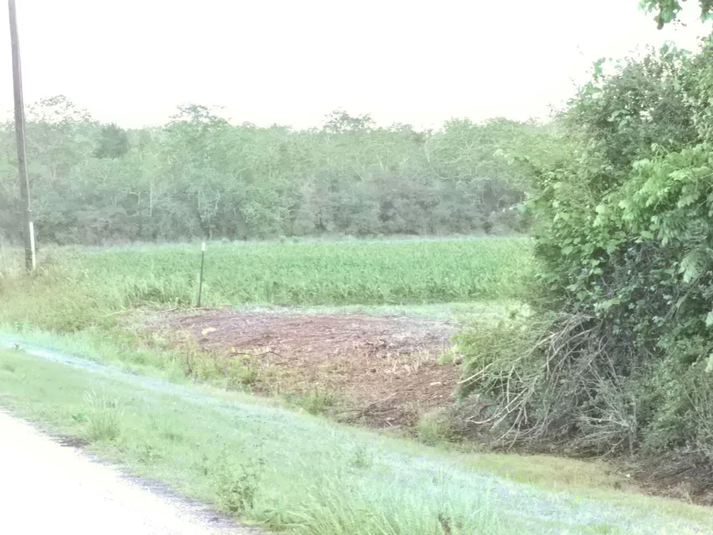 6932 Beard Road Needville, TX 77461