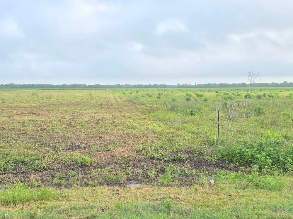 6932 Beard Road Needville, TX 77461