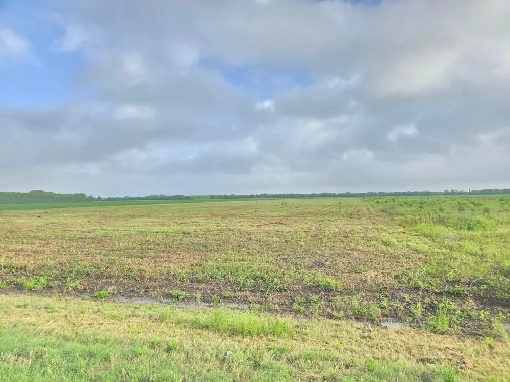 6932 Beard Road Needville, TX 77461