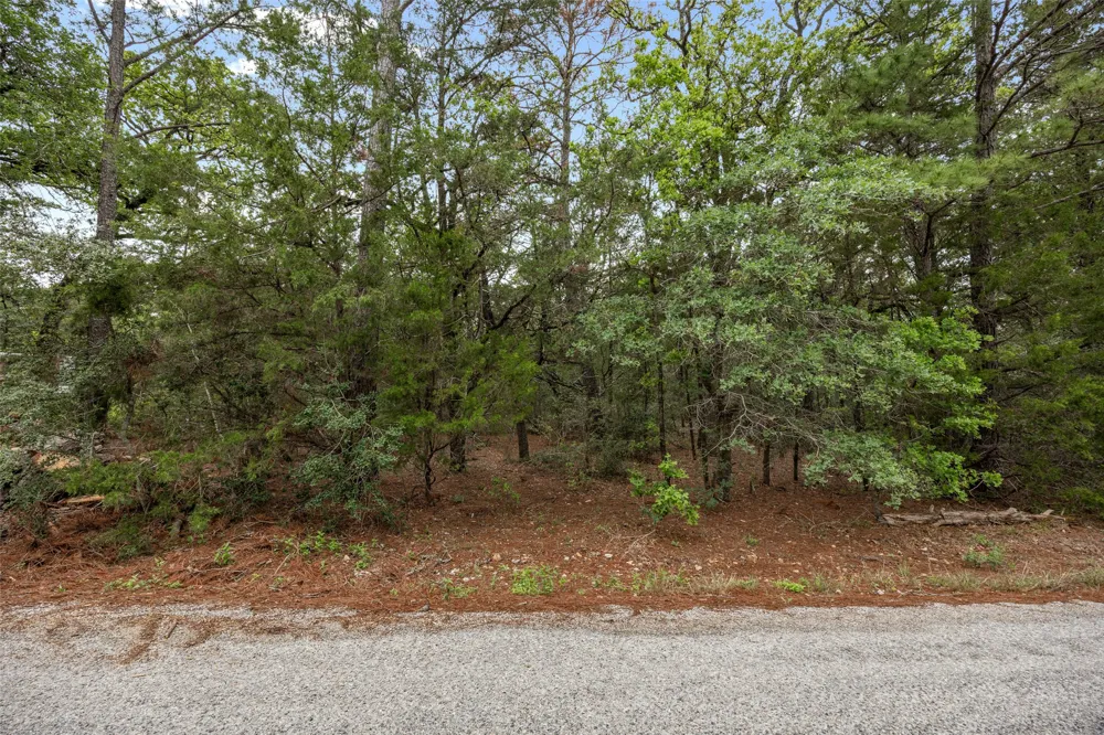 Commanche Drive Smithville, TX 78957