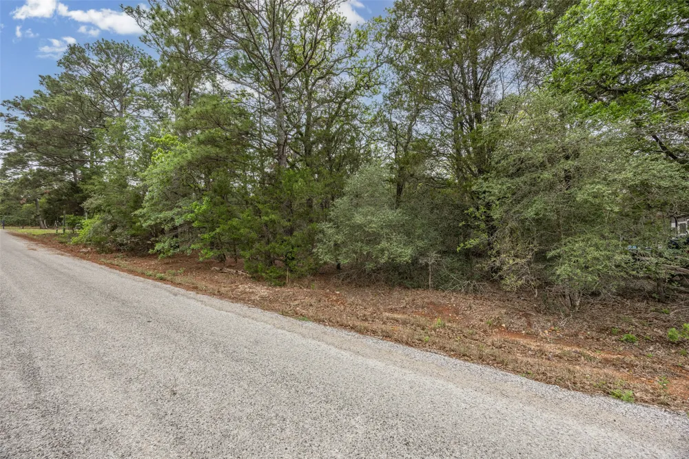 Commanche Drive Smithville, TX 78957
