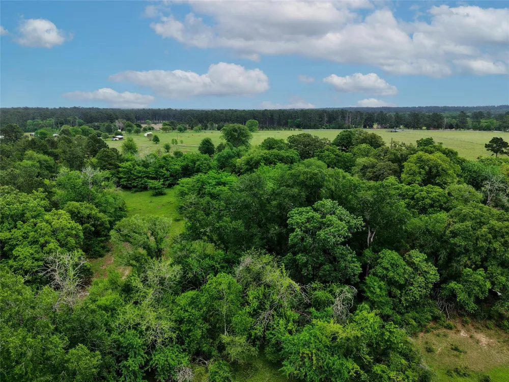 Fm 1791 Road Richards, TX 77873
