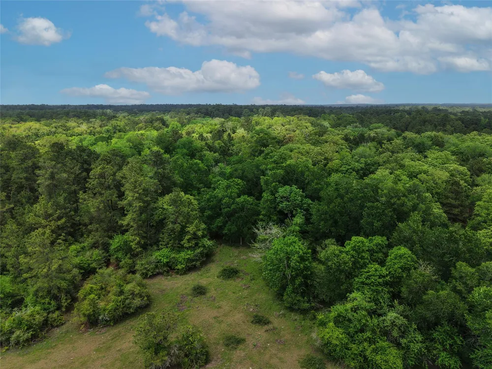 Fm 1791 Road Richards, TX 77873