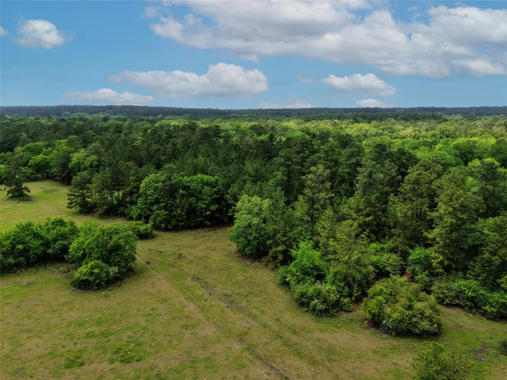 Fm 1791 Road Richards, TX 77873